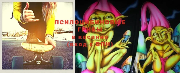 сатива Наволоки