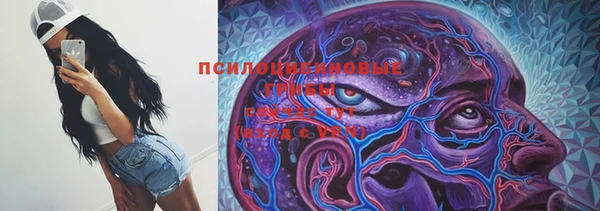 сатива Наволоки